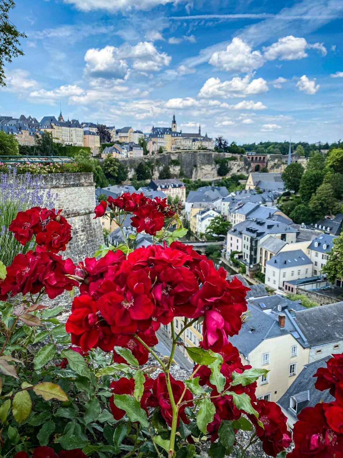 Vues sur la Ville Haute et les Fortifications - visite guidée