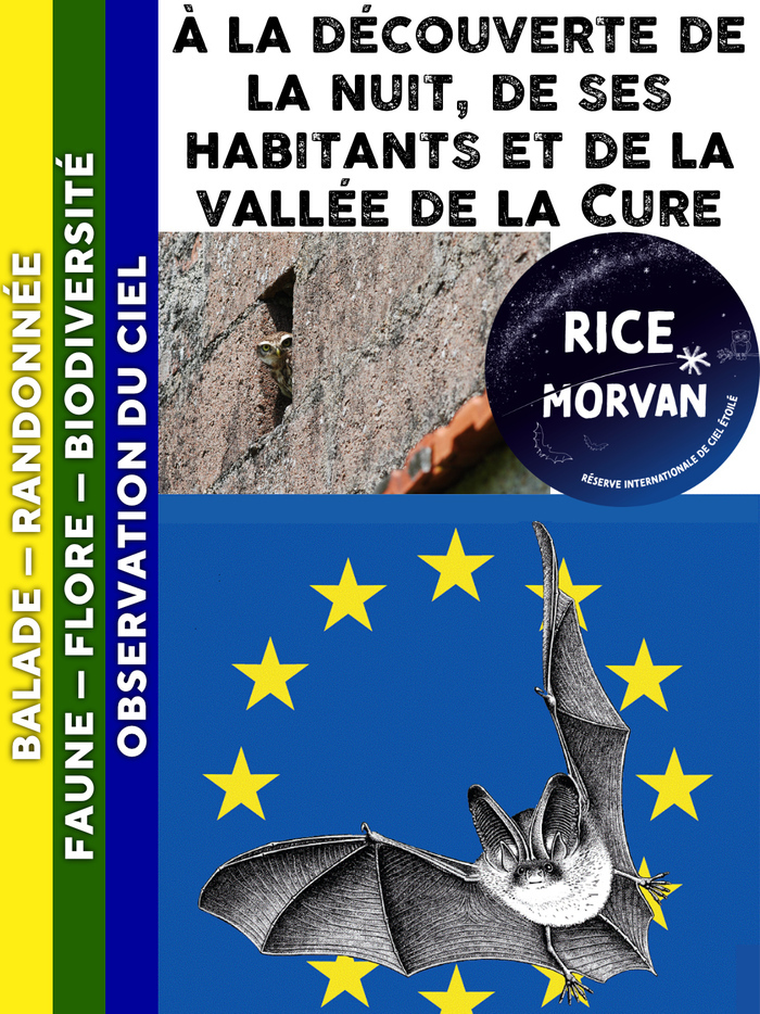 89450 PIERRE-PERTHUIS