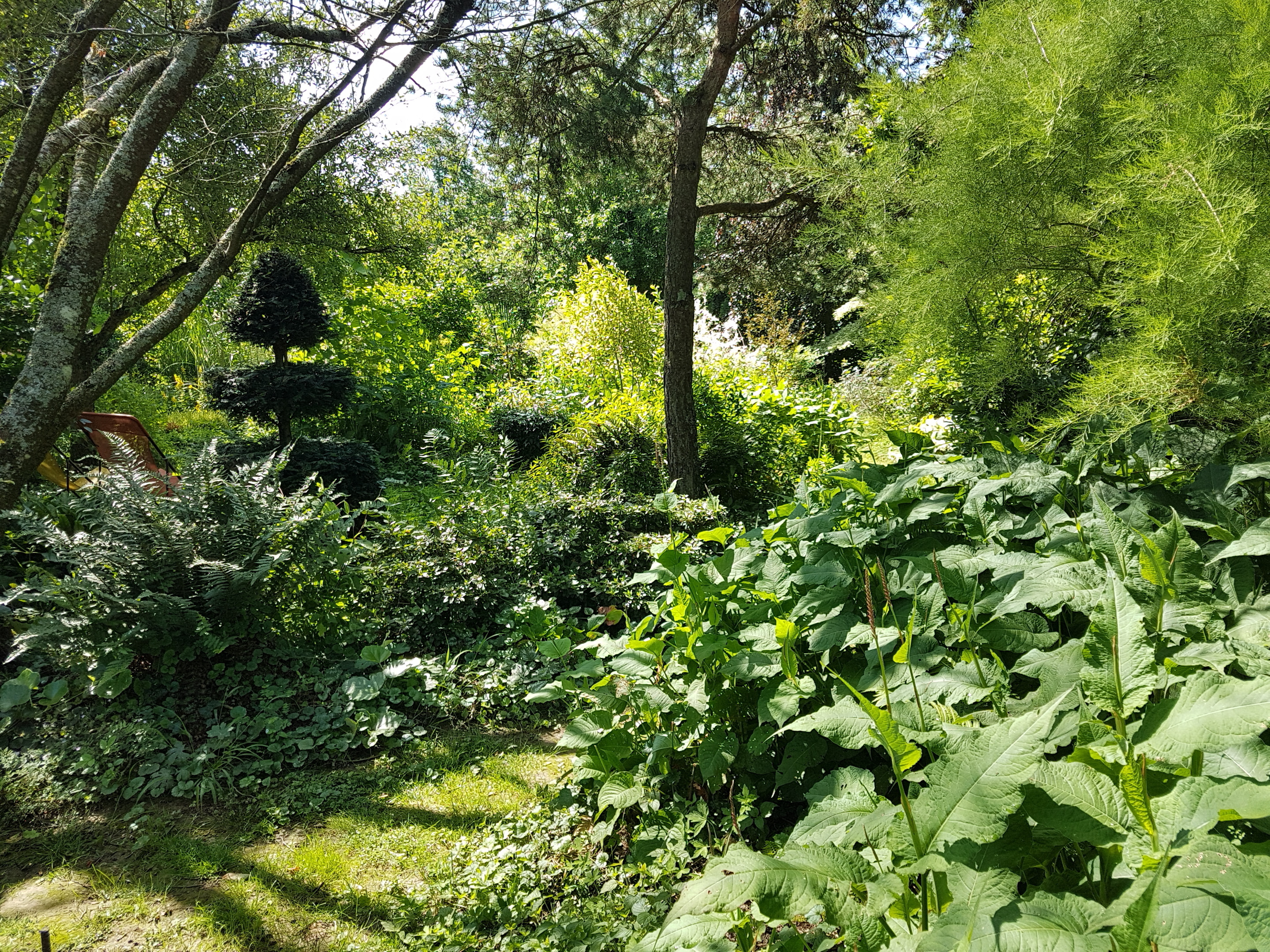 Découverte d'un jardin créé par une passionnée
