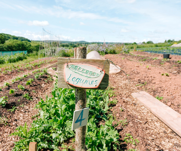 Vis ma vie de maraicher
