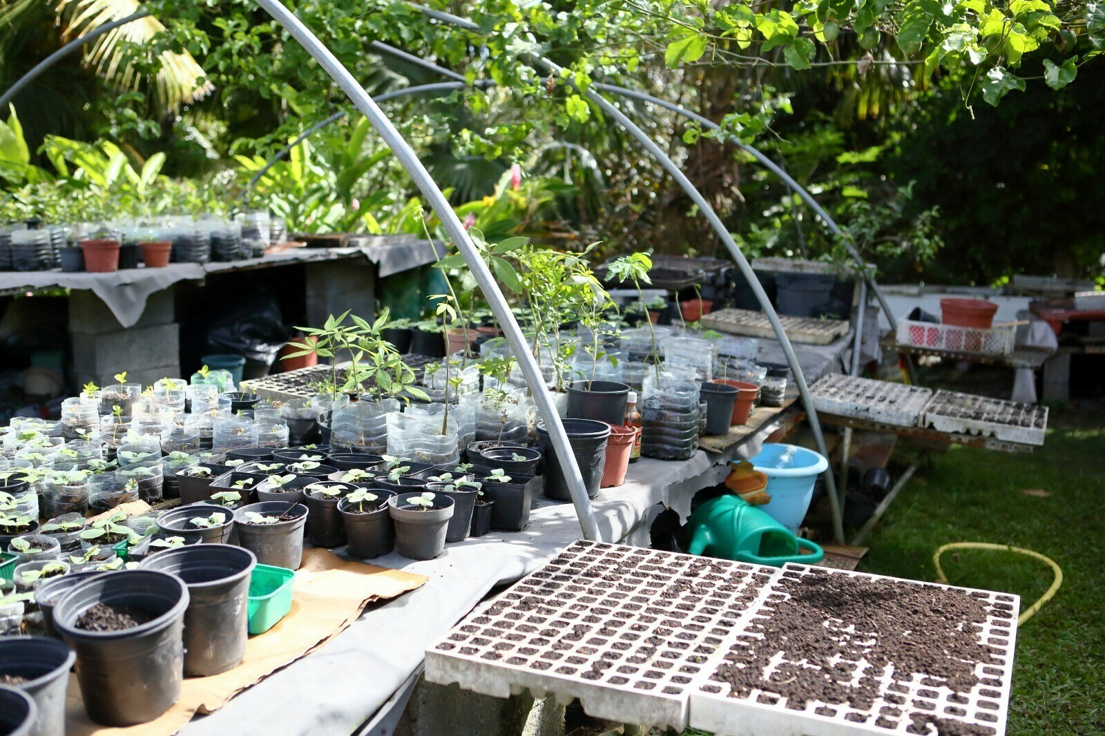 Le jardin Biomorne