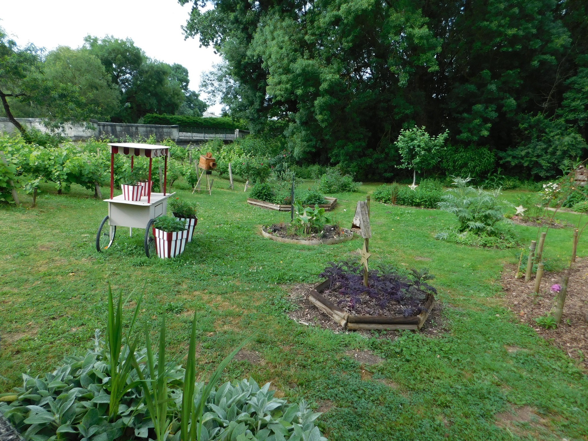 Découverte des Jardins éphémères