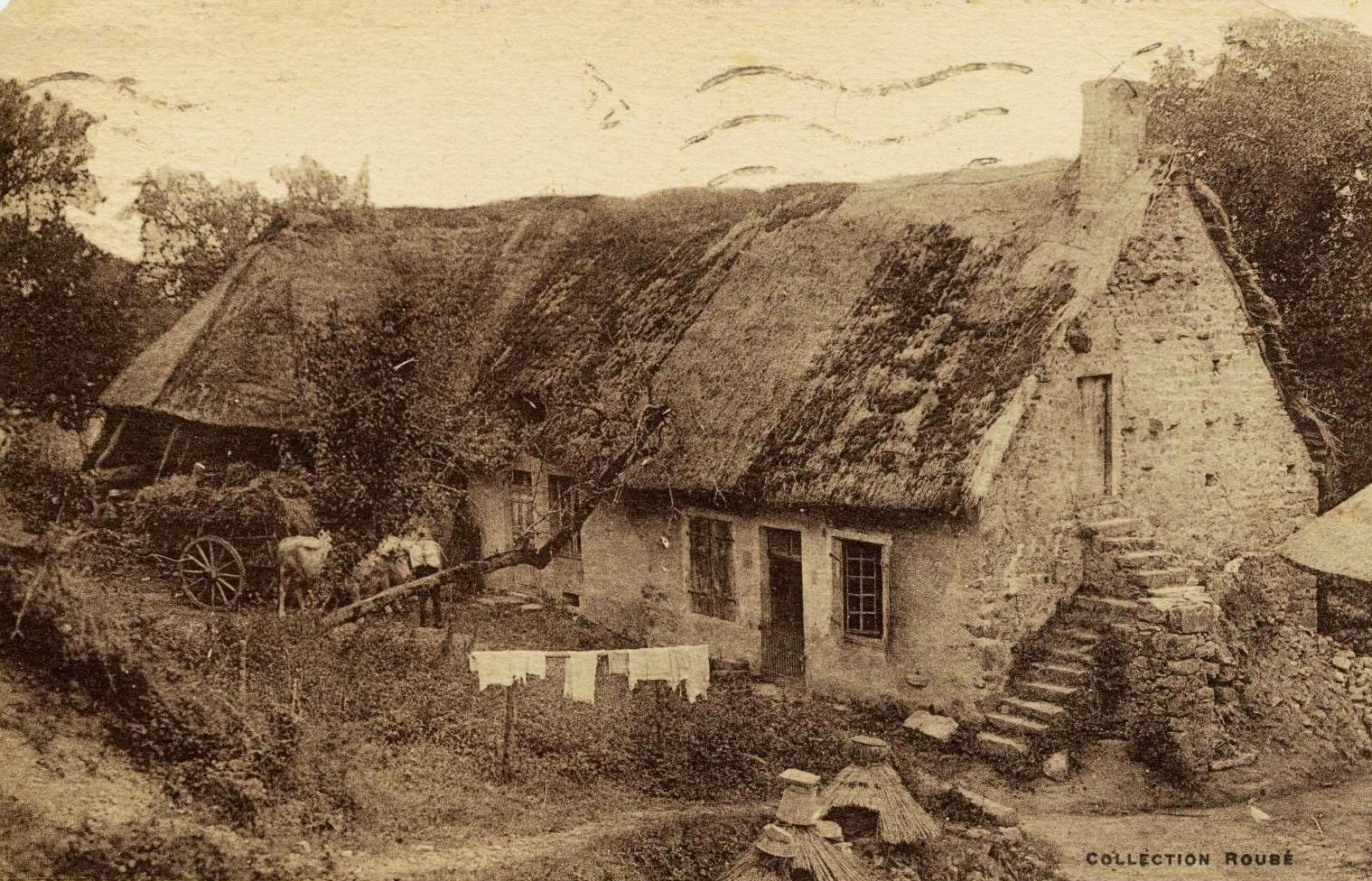Visite zoom : l'habitat morvandiau
