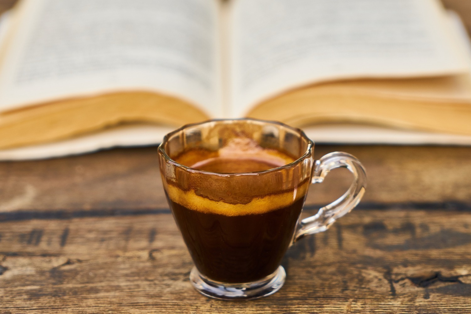 Café Bouquins spécial Invité