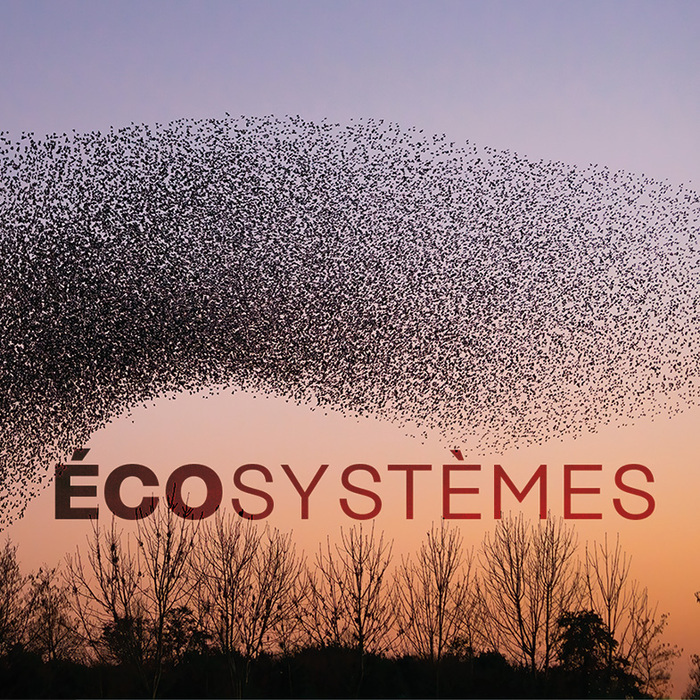 Claude Kergomard « Cryosphère et climat : Vers la fin de la « planète blanche ? »