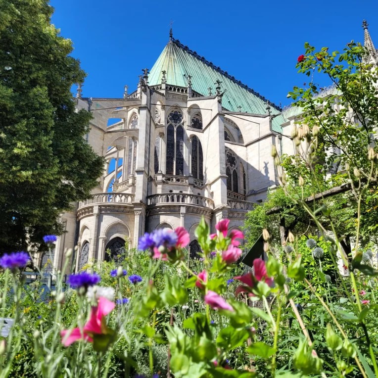 Ouverture et visite commentée du jardin médiéval de la basilique cathédrale Saint-Denis