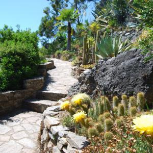 Visite du "Jardin Méditerranéen" et rencontre des artistes