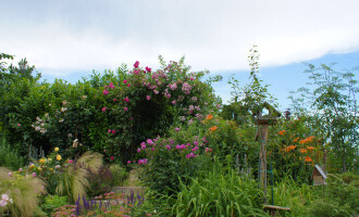 Exemple de jardin naturel