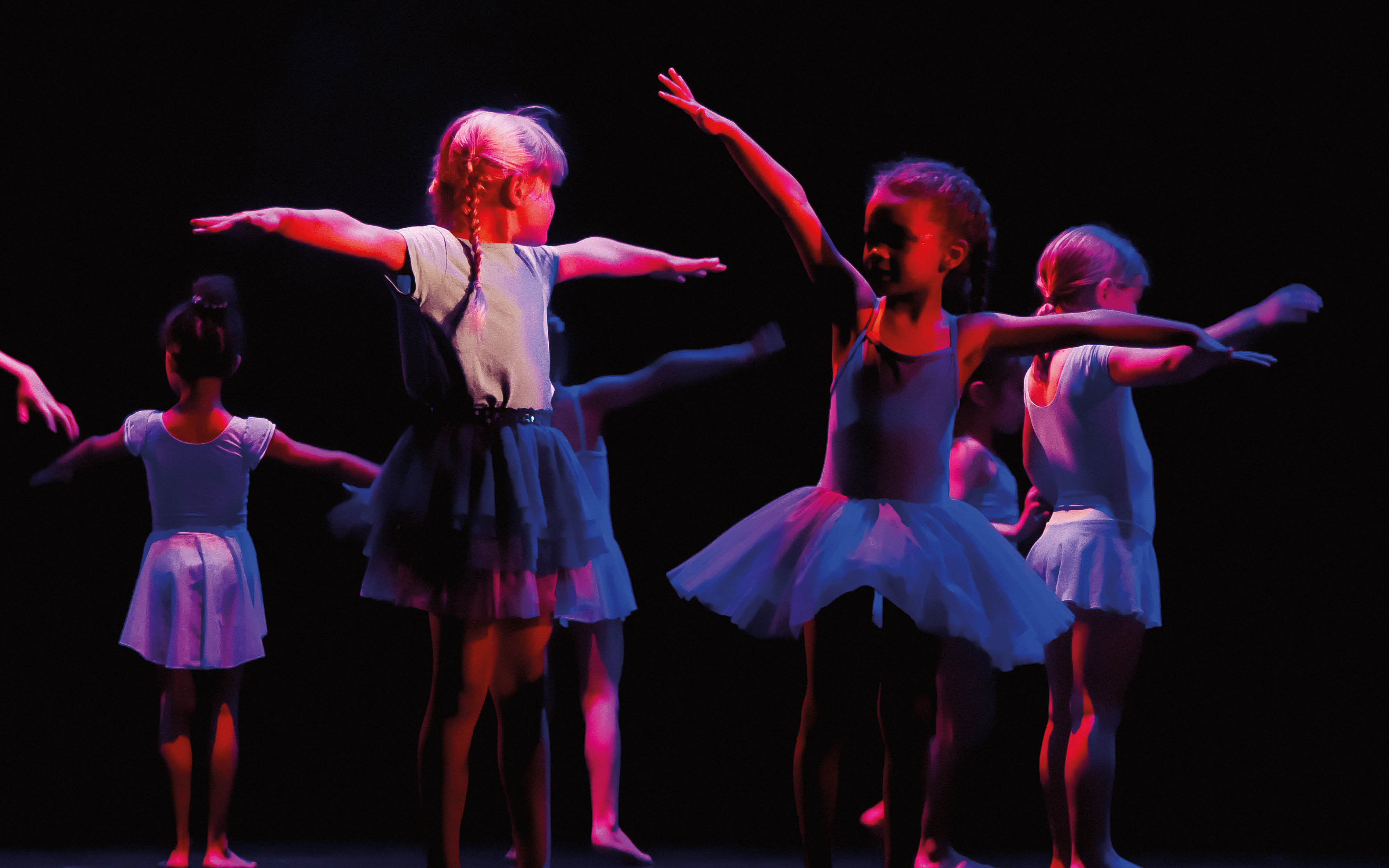 LES ENVOLÉES DANSE