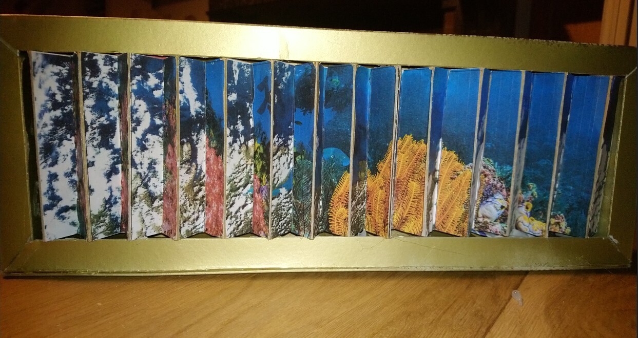 Atelier Agamographe sur l’eau, la pluie ou l’océan