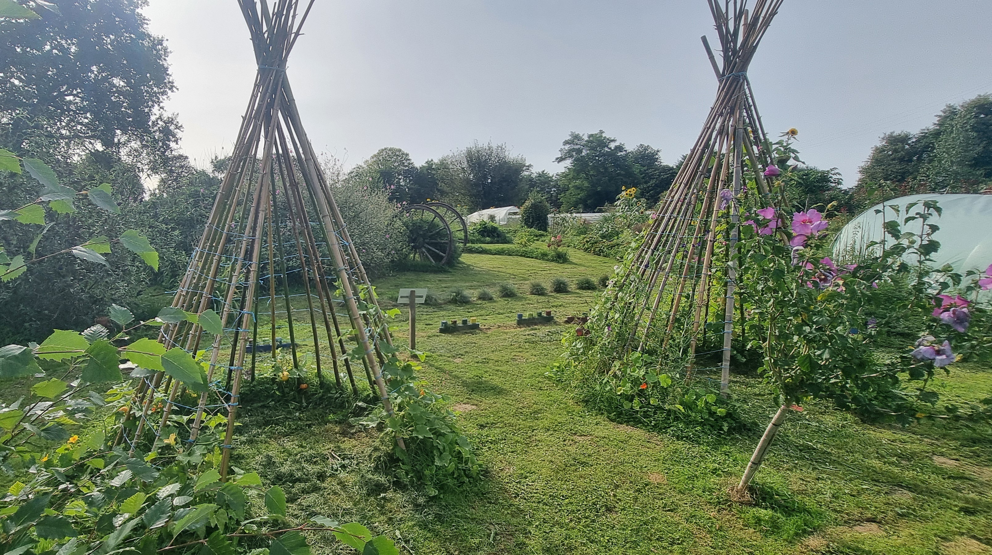 Visite libre : balade au jardin