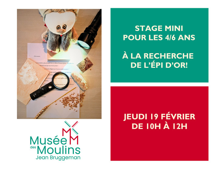 Mini Internship 4/6 years: in search of the Golden Ear!