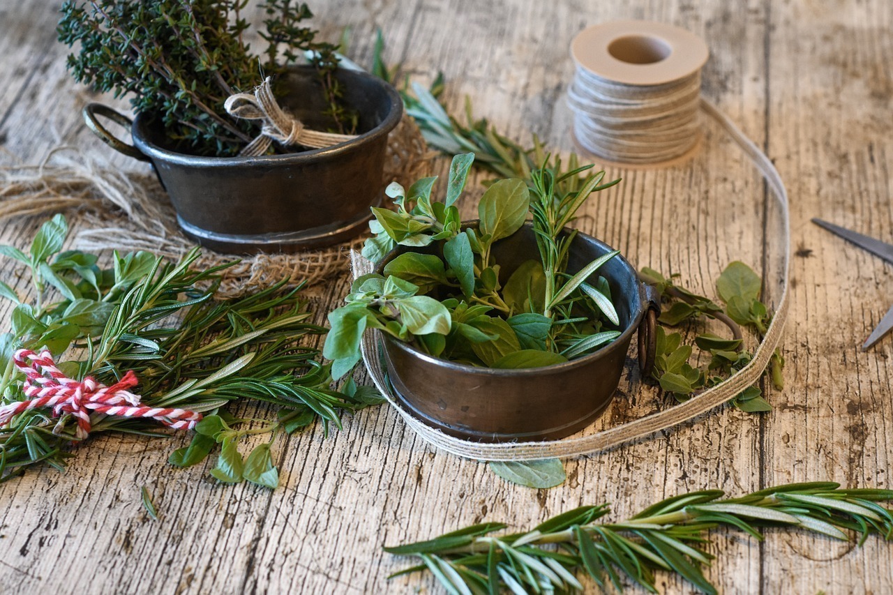 BOULOGNE-BILLANCOURT : 🌿 Plantes aromatiques et médicinales : des alliées pour votre bien-être 🌿