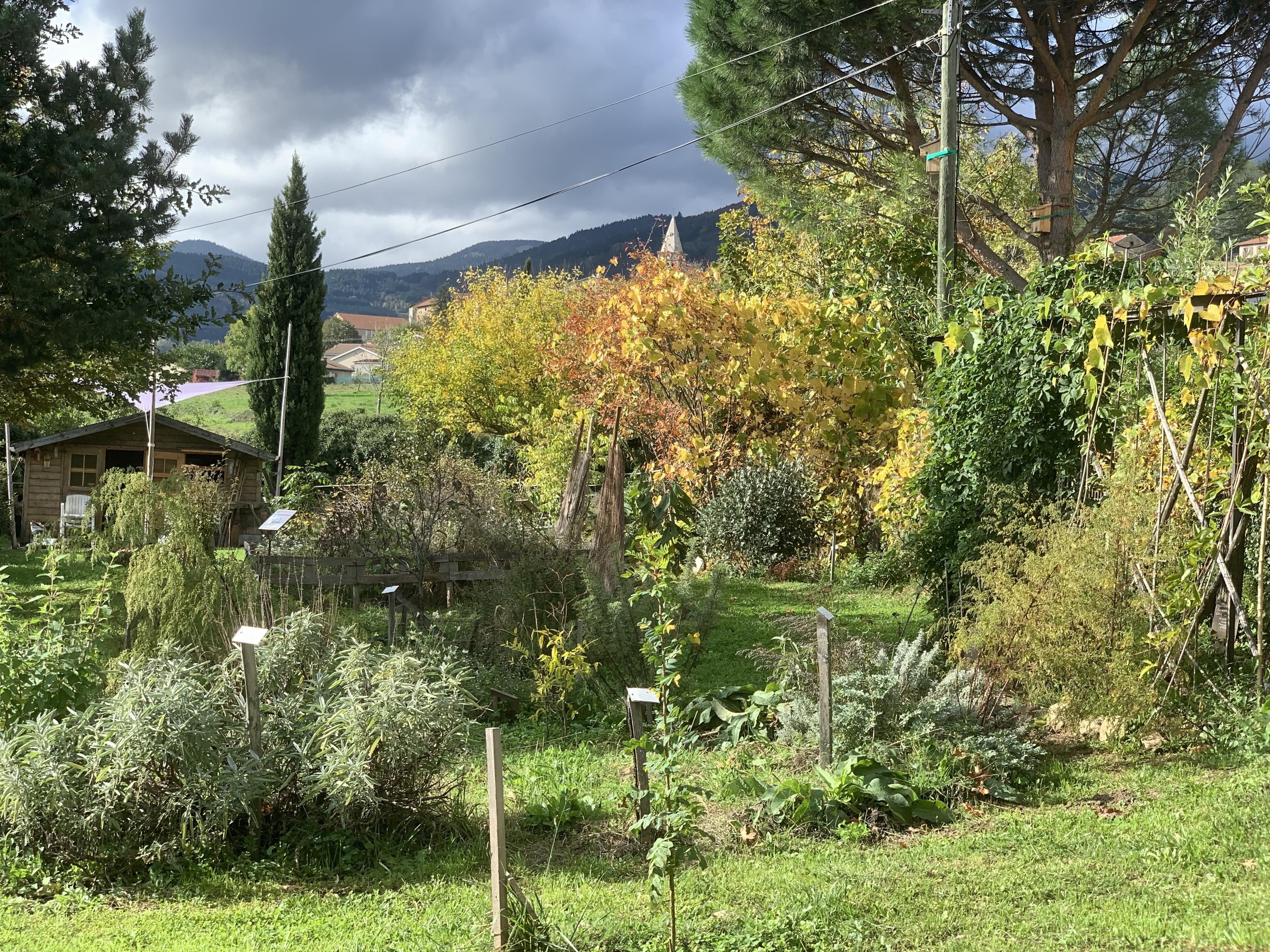 Découverte du jardin botanique de Vanosc