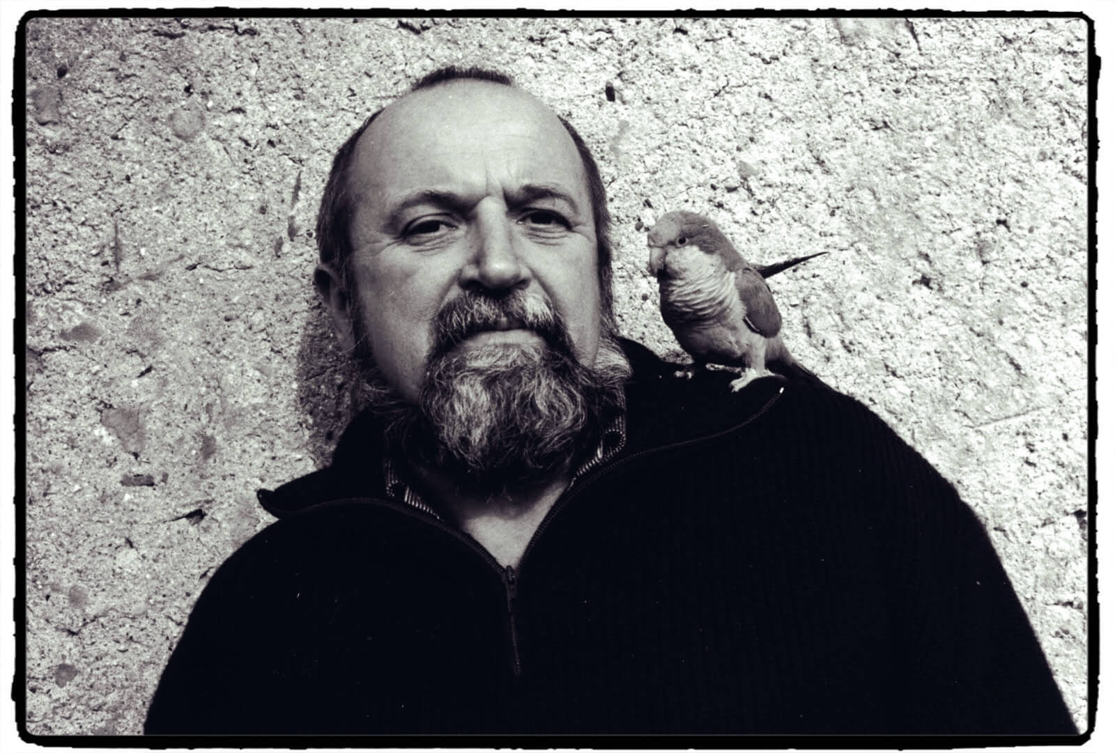 Passion oiseaux : le talentueux dessinateur Hermann Heinzel
