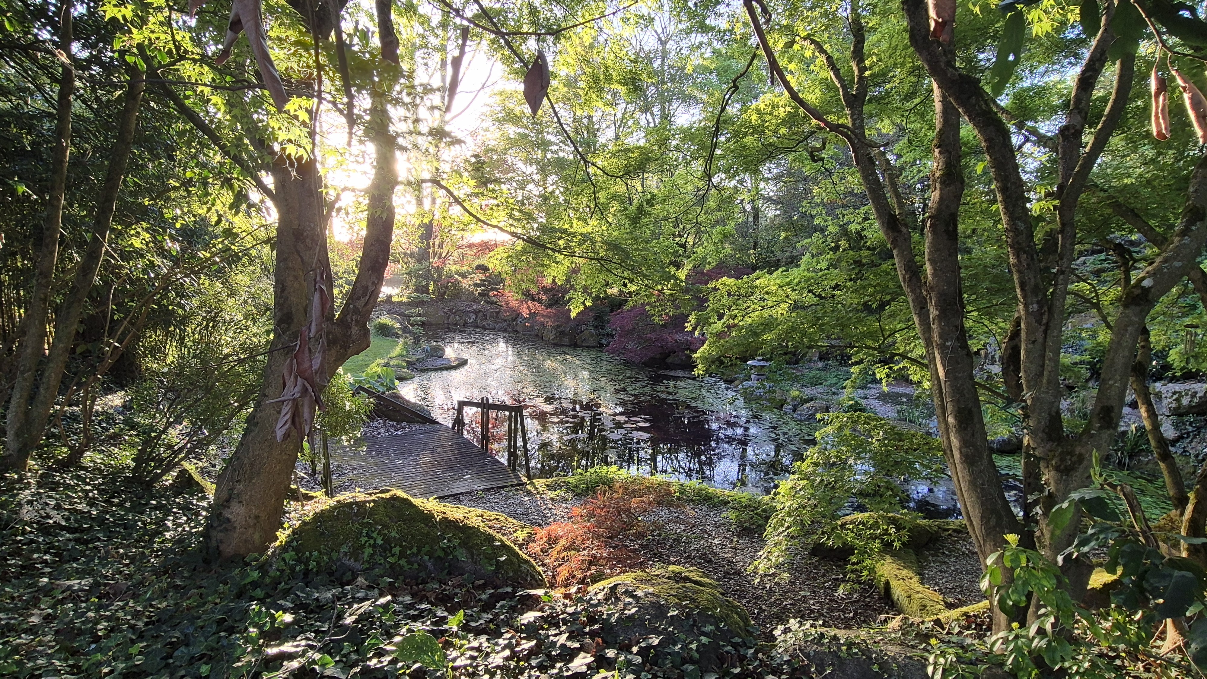 Le Jardin de Jeanot : Un parc aménagé dans un cadre naturel avec des sensibilités orientales, provençales autour de plusieurs plans d'eau