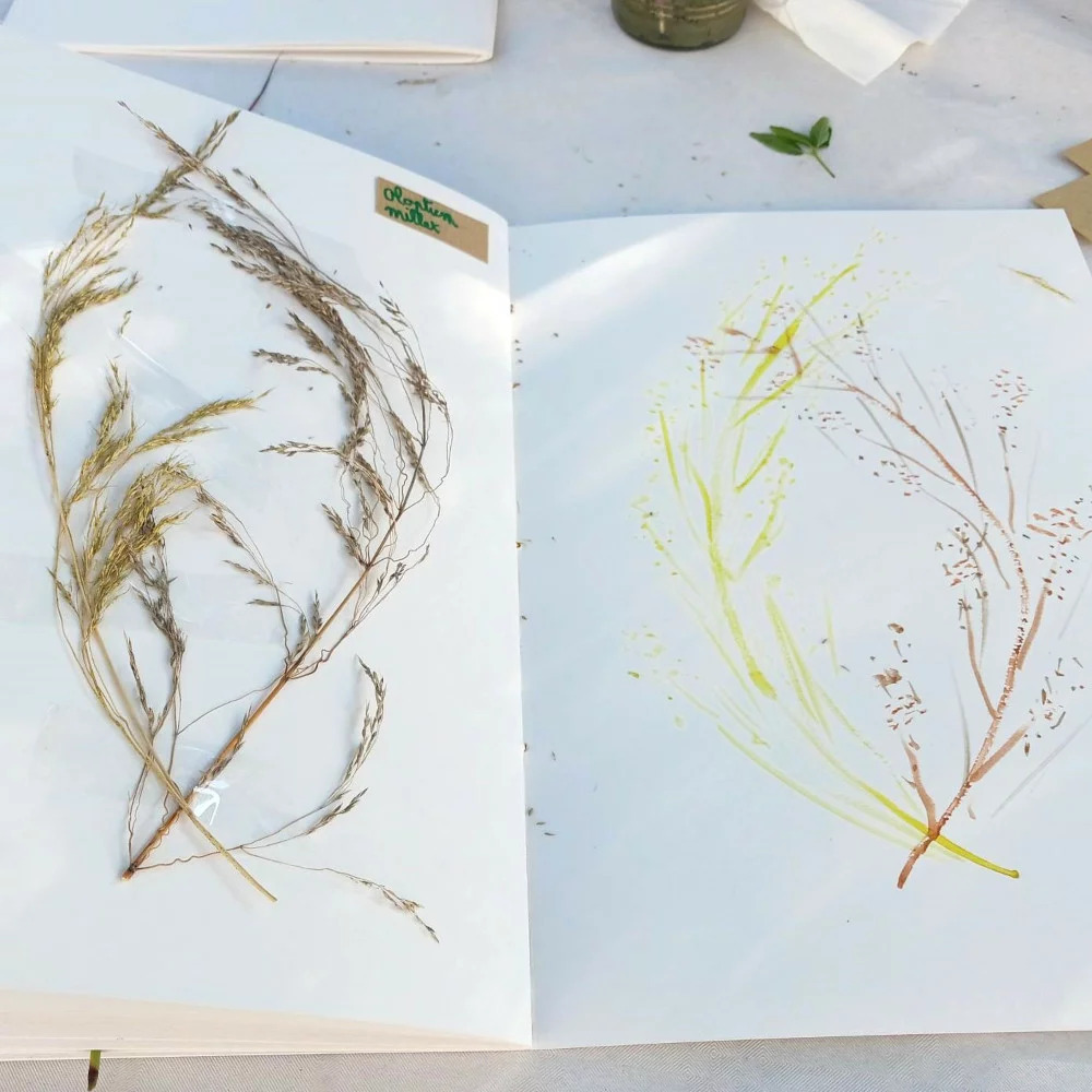 Mon herbier du Moyen Âge