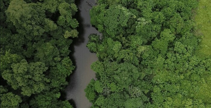 The Awakening of the MEG Sound Archives