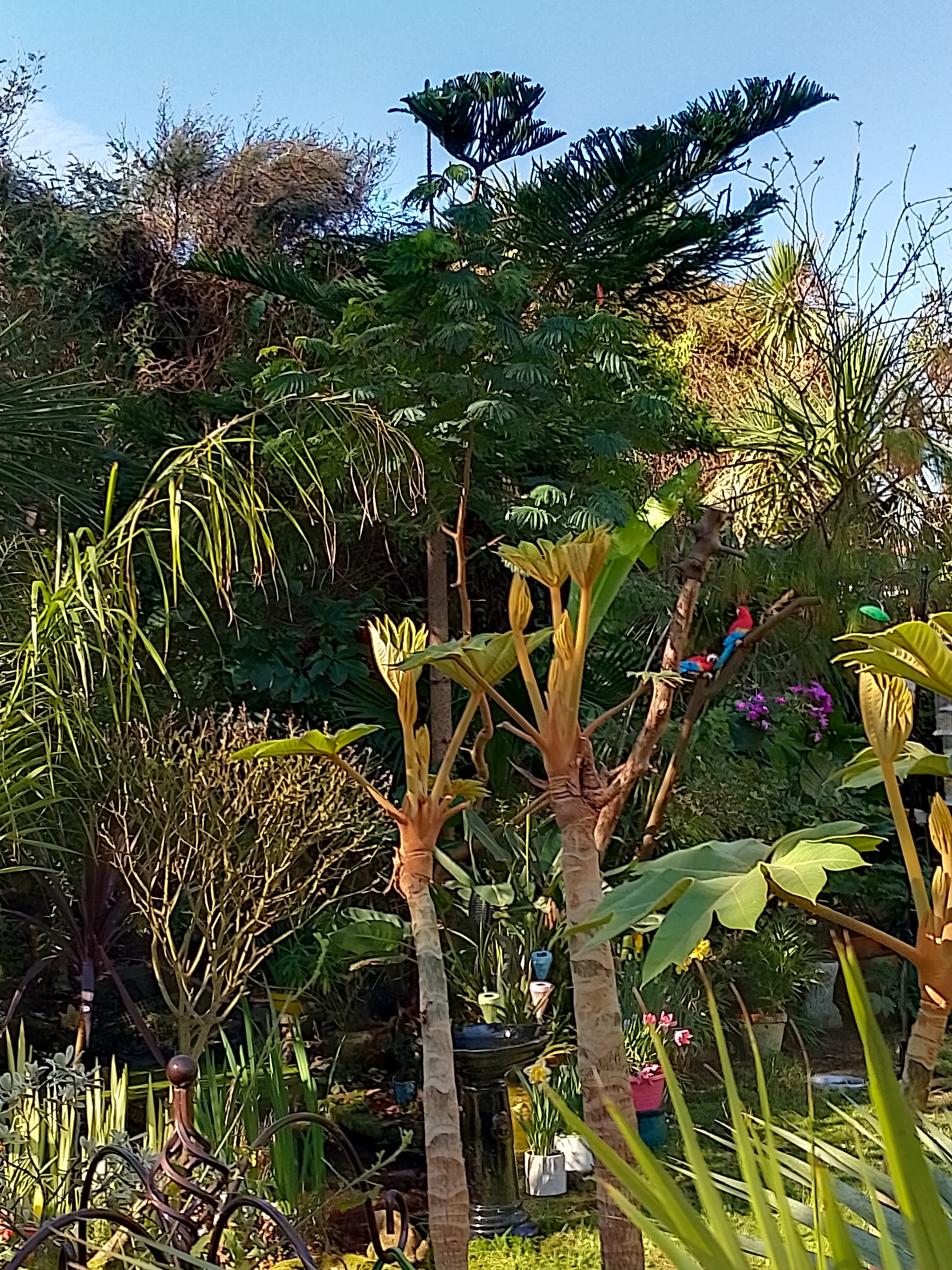 Entrez dans un paradis tropical en Charente