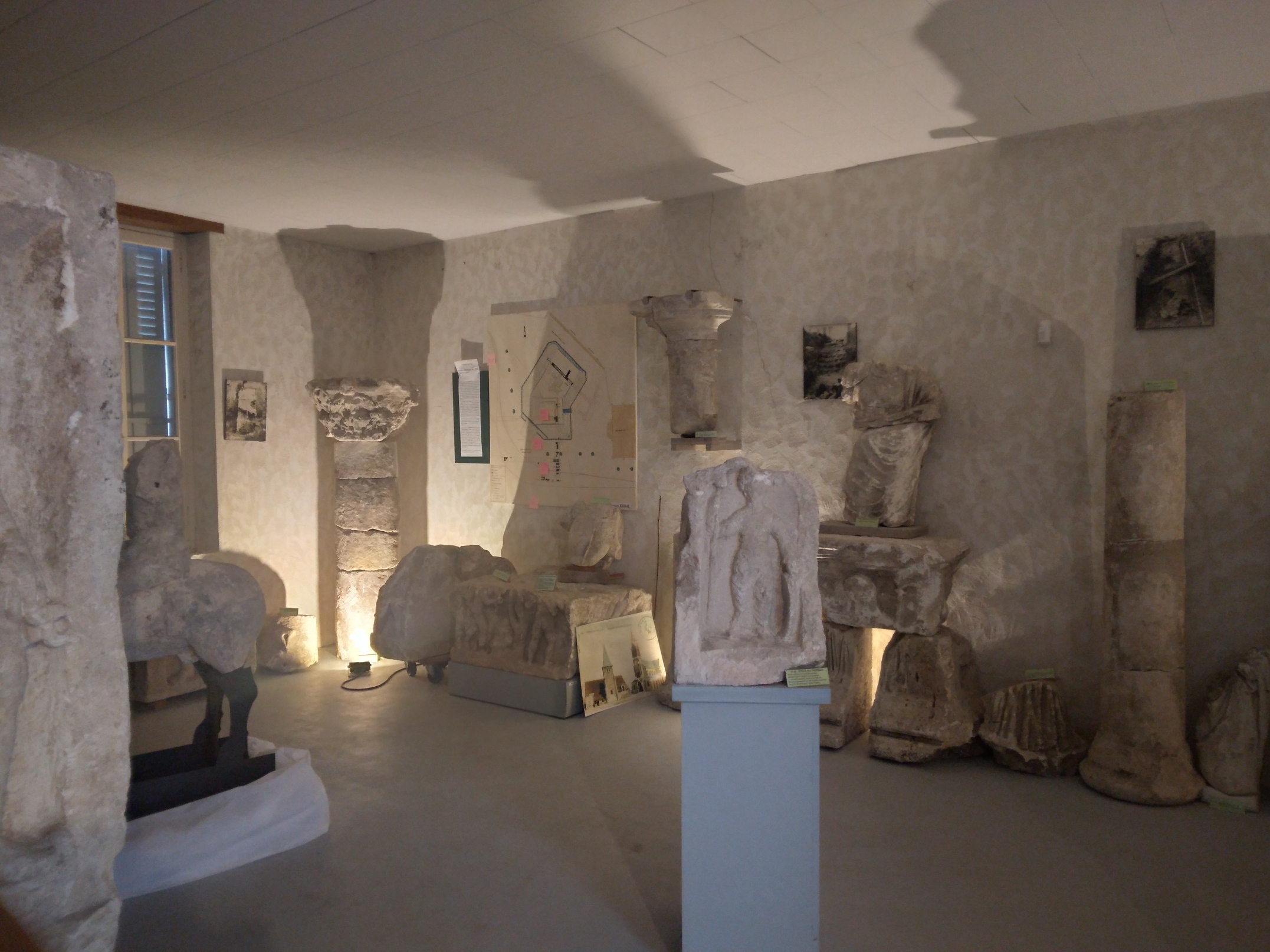 Visite commentée des collections archéologiques du musée