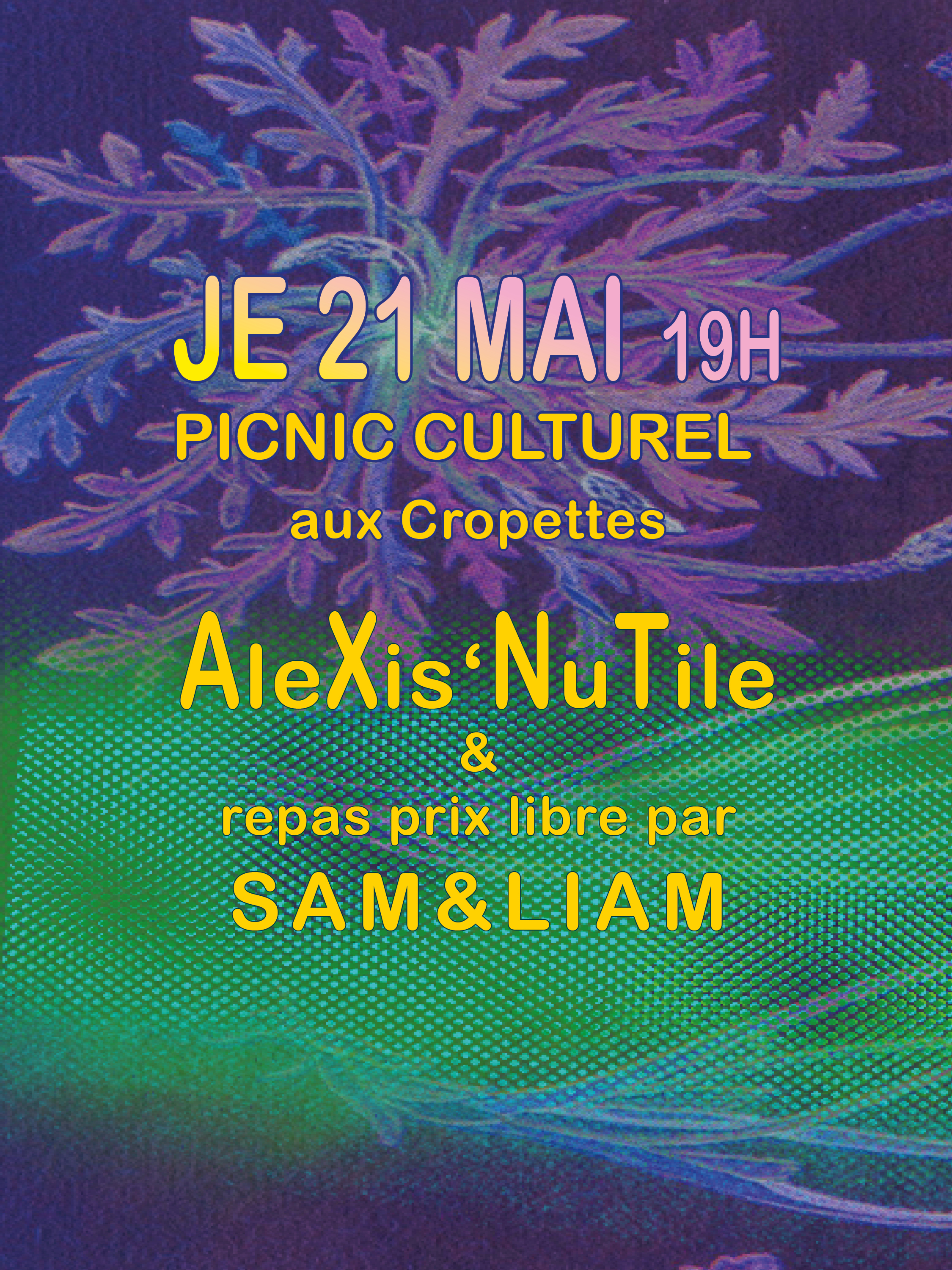 Picnic Culturel avec AleXis’NuTile