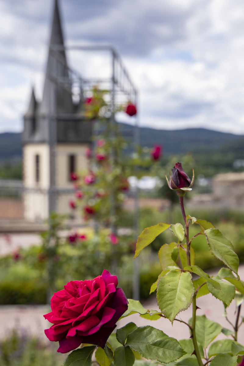 Une vision plus consciente avec des vues panoramiques ou des détails dans le jardin de Ronkarz, le refuge du calme et de la détente.