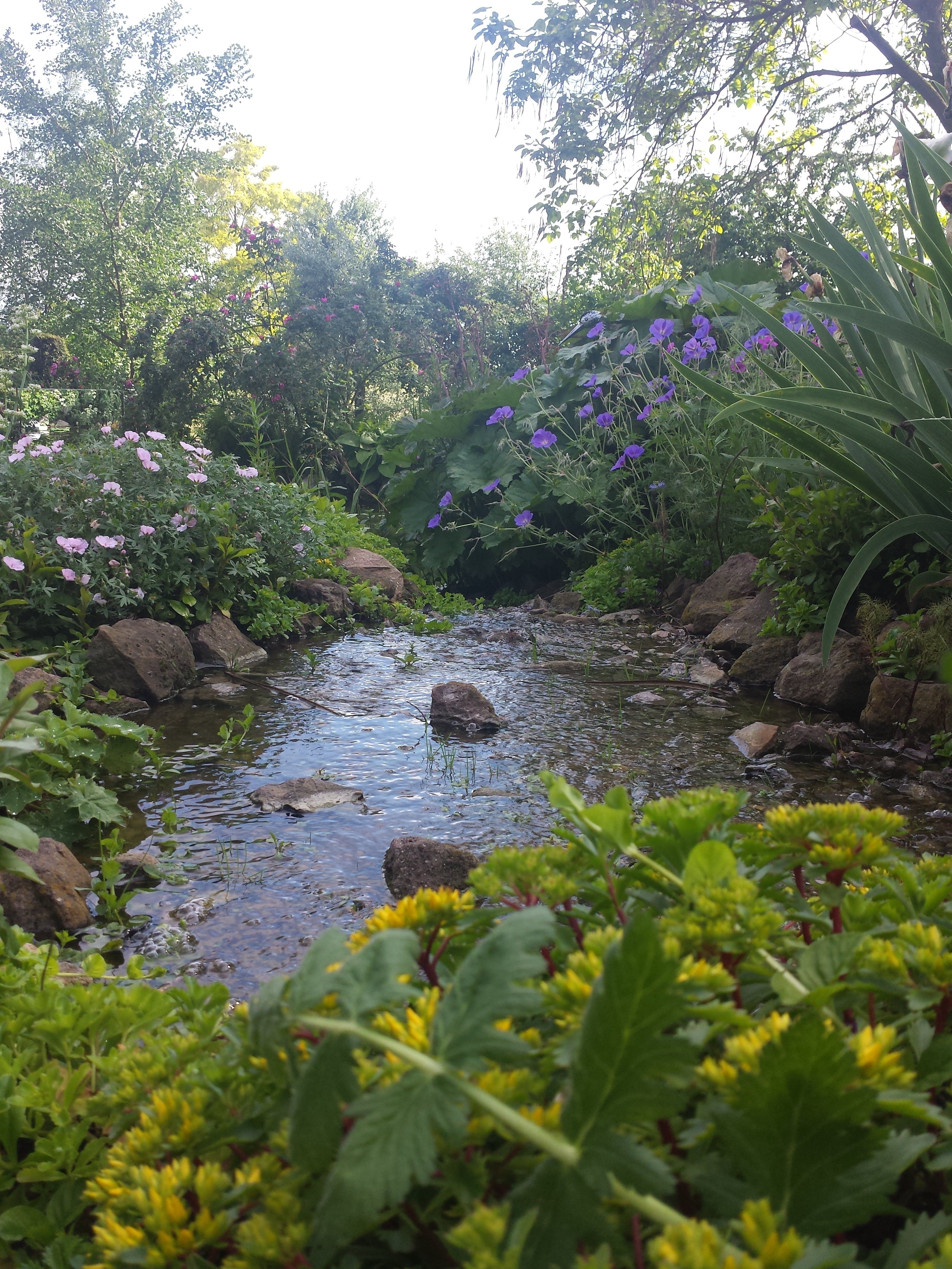 Visite libre du Jardin des 4 temps
