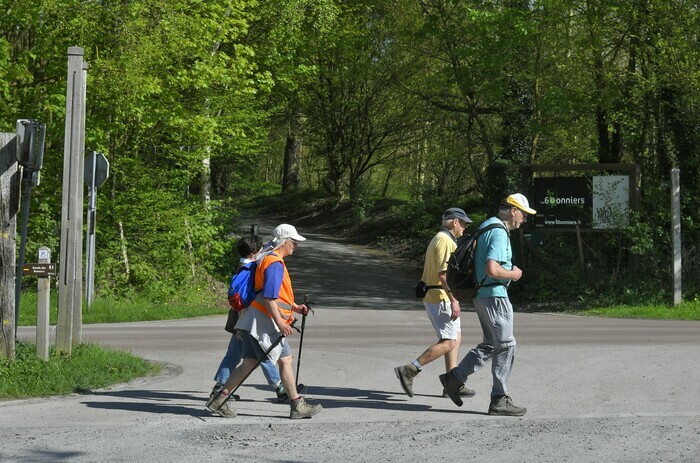 Naturalist walk: "Plants, trees and stories"