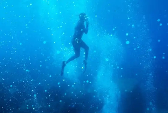 La Mer jamais ne s'oublie