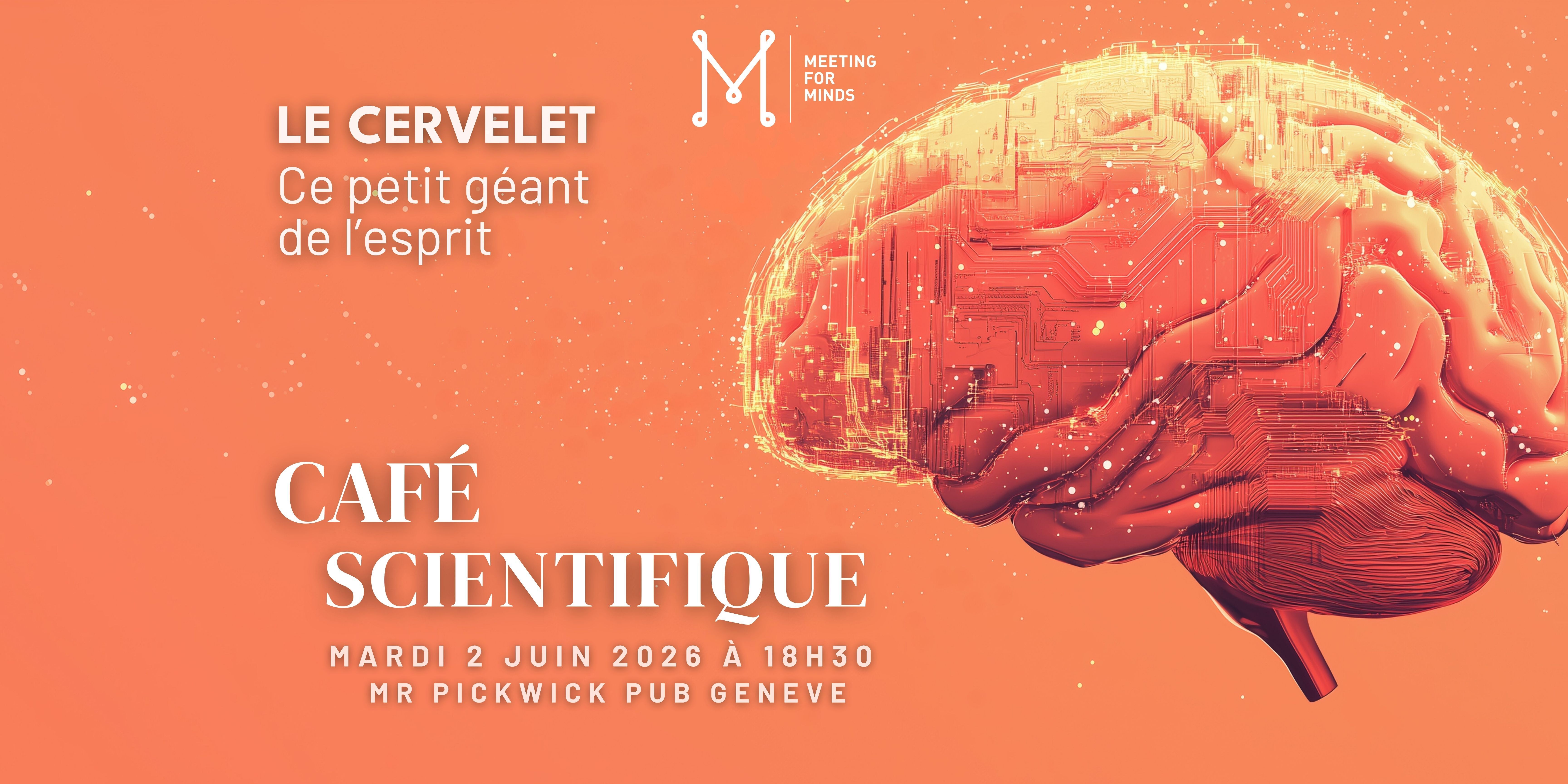 Café Scientifique: Le Cervelet, ce petit géant de l'esprit