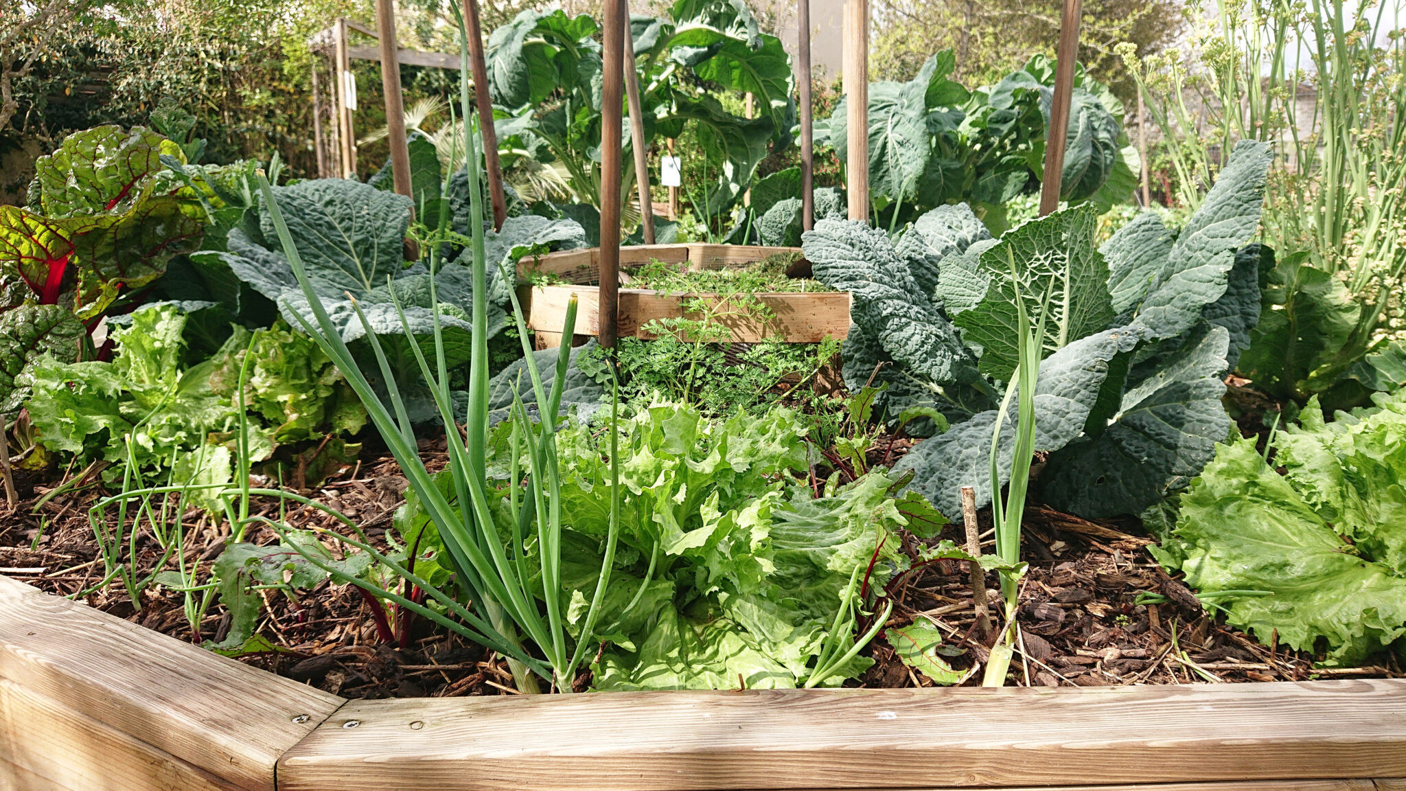 Atelier "biodiversité" au jardin pédagogique des Violettes