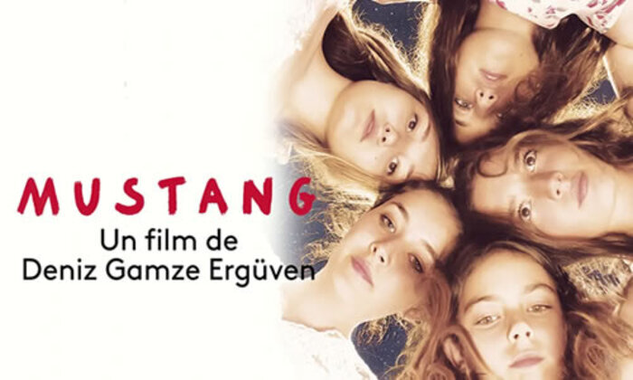 Festival Libres Regards " Mustang"