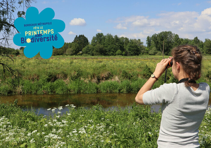 Réserve Naturelle des marais de Bruges