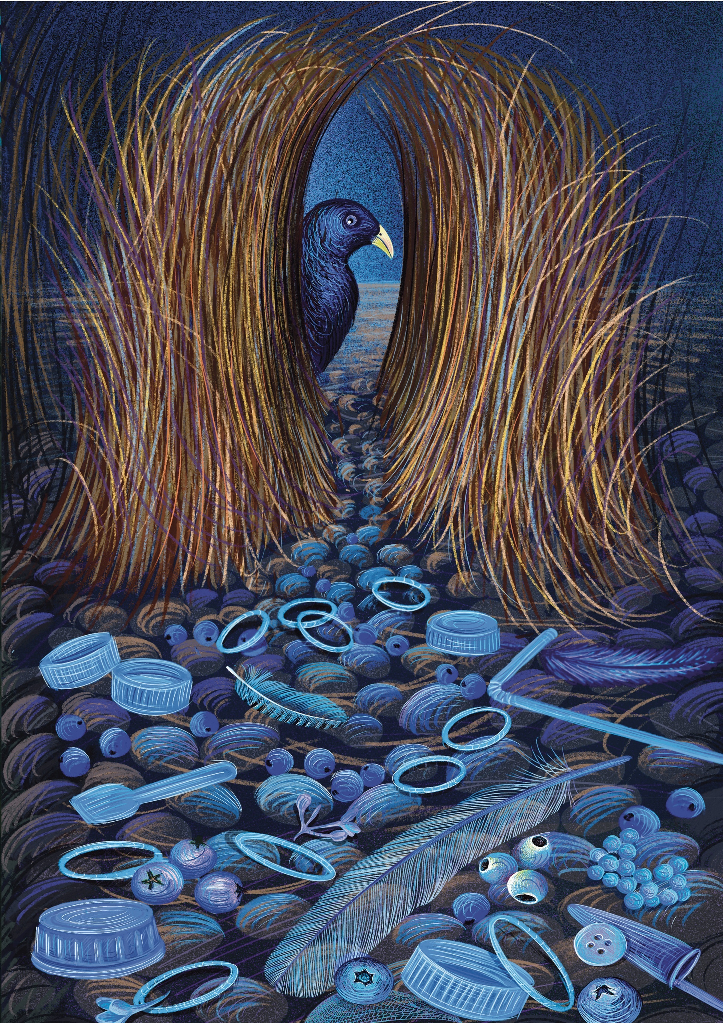 Exposition À la loupe : petites curiosités et collections d'Isabelle Simler