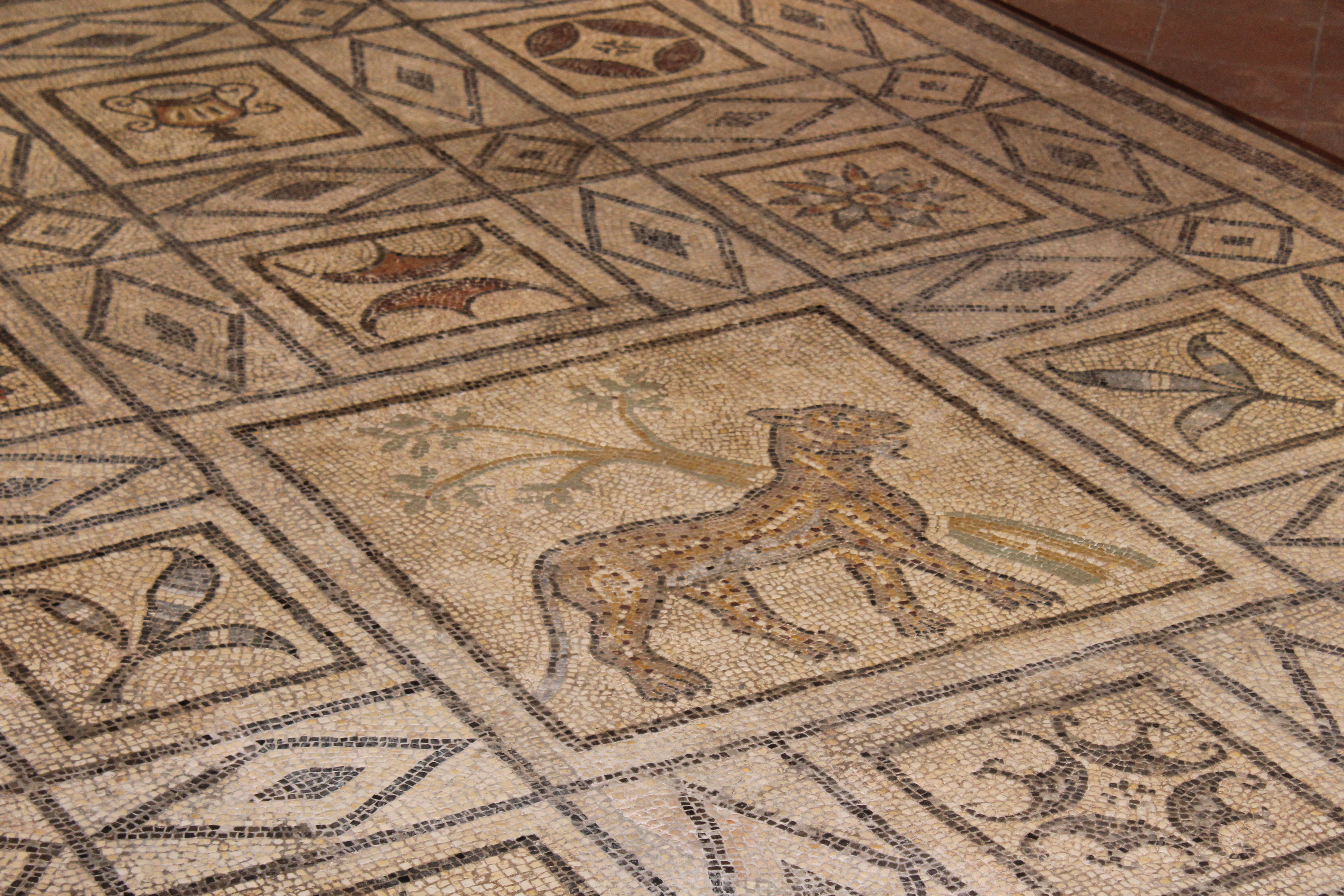 Les vestiges romains révélés par l’archéologie