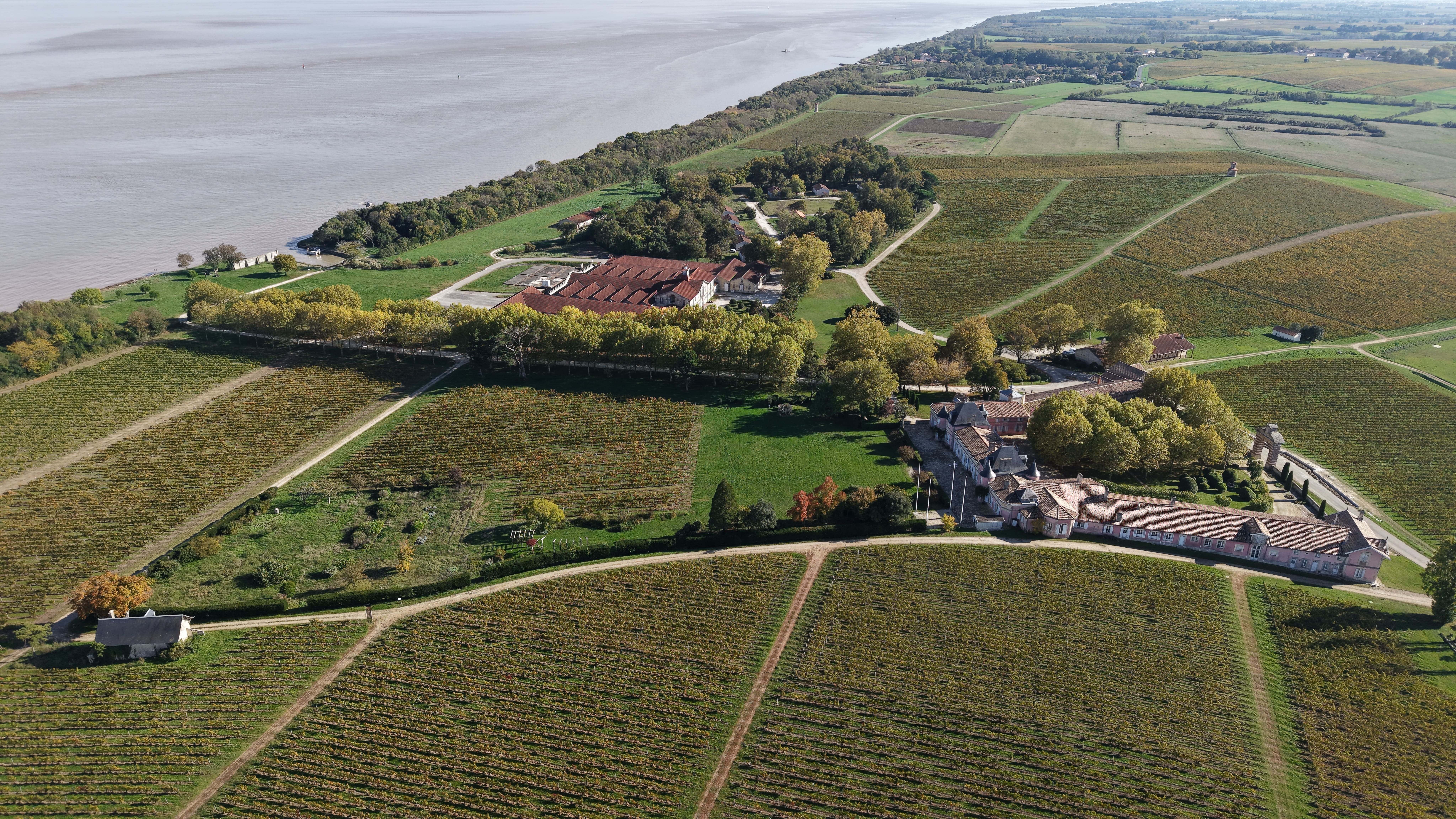 Vues remarquables du vignoble du Château Loudenne