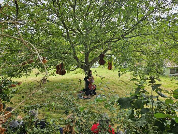 Nature break over the water: musical walks