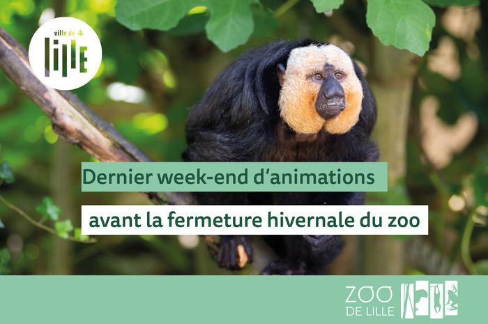 Dernier week-end d’animations avant la fermeture hivernale !