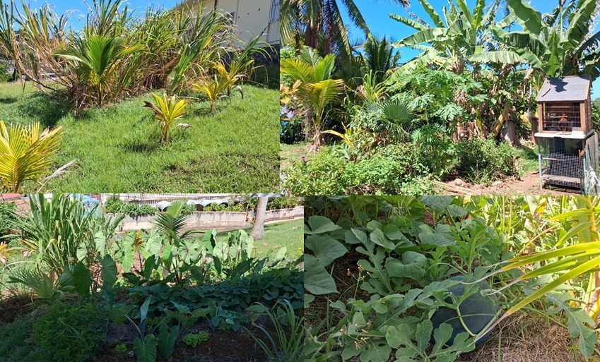 Rendez-vous au Jardin : Sainte-Marie s’éveille