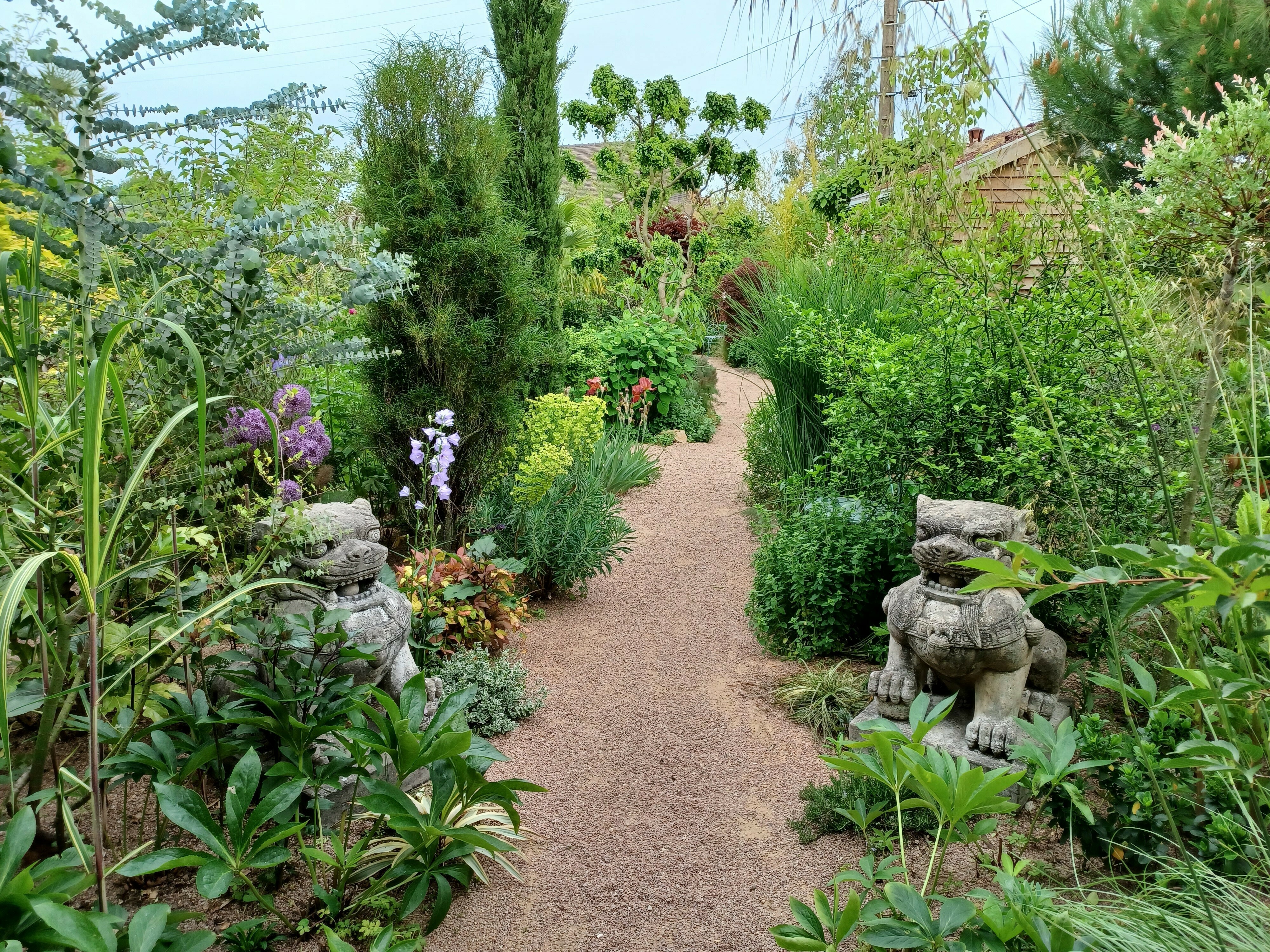 Visite libre du jardin