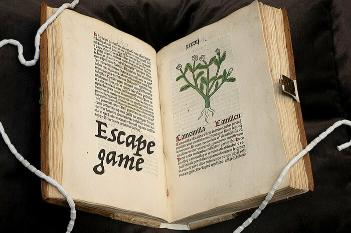 Enigma Botanica: 60 Minutes Escape Game