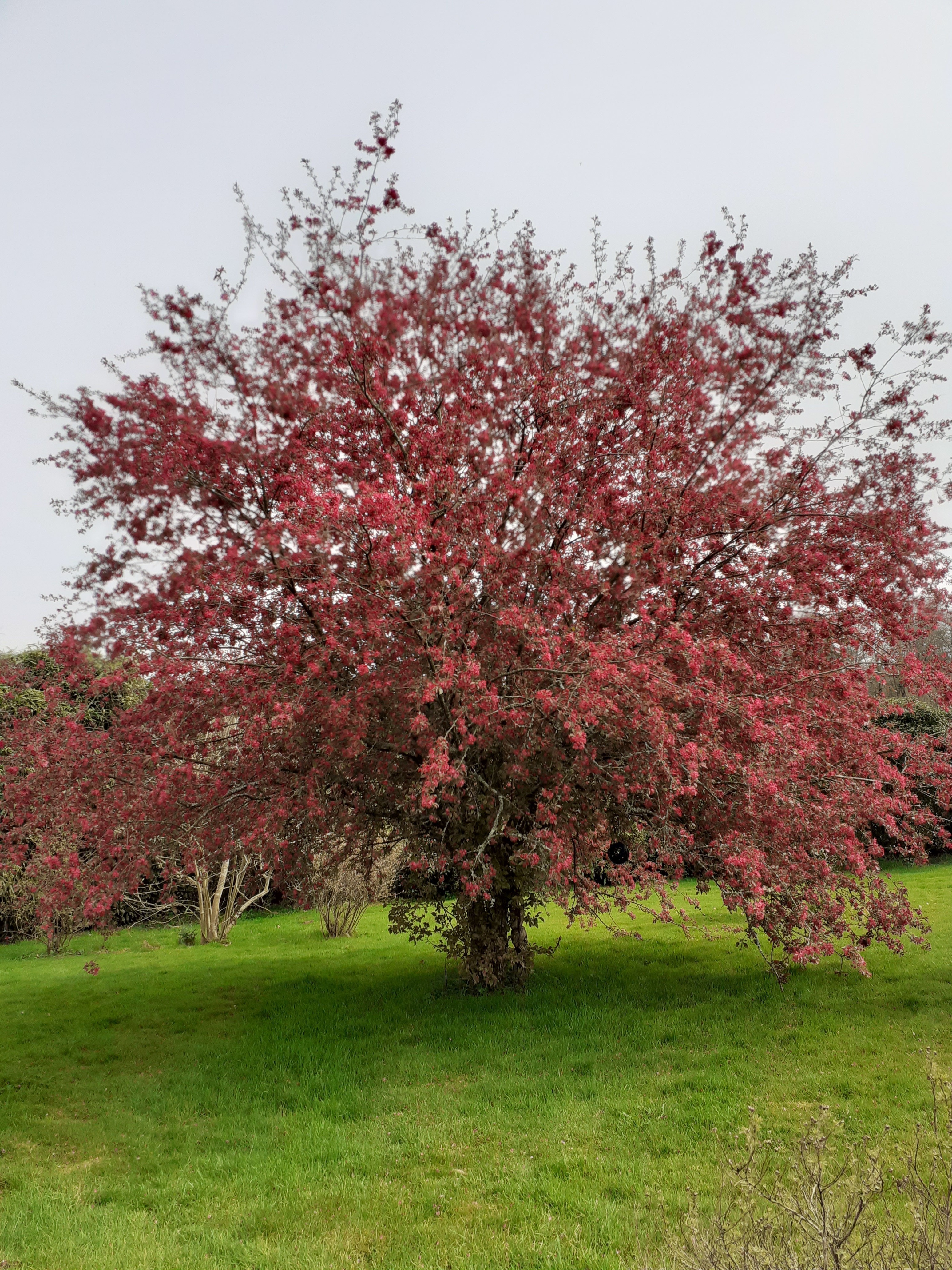 Visite découverte du jardin Arc-en-Ciel de Ploubezre