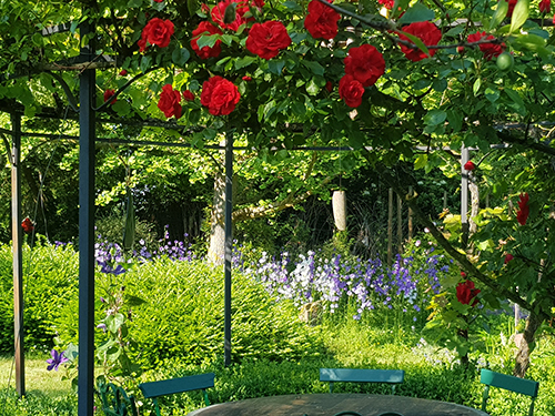 Découverte paisible d'un jardin