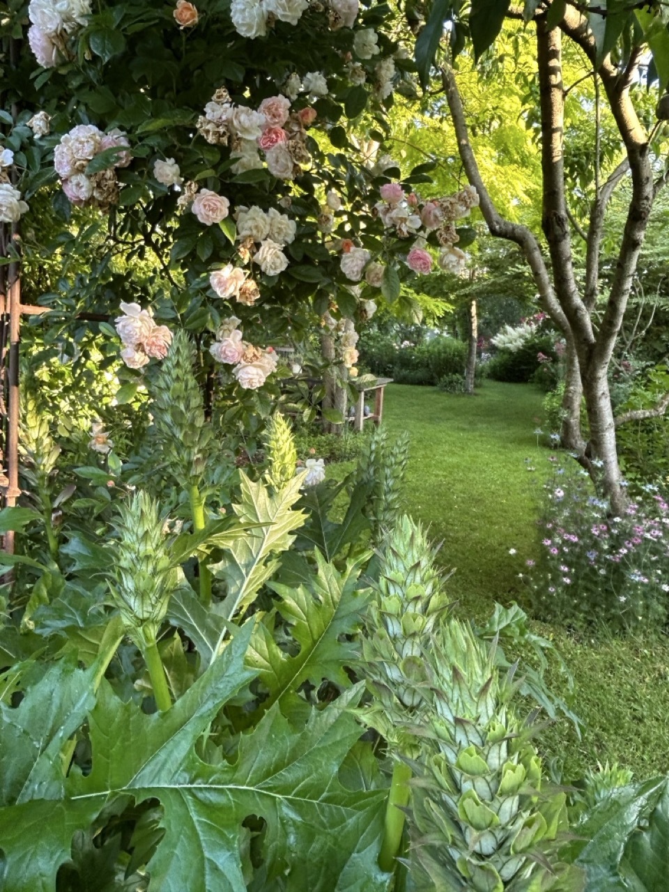 Jardin d'Isabelle et John Lanners-Faber - Oppe Gaardepäertchen
