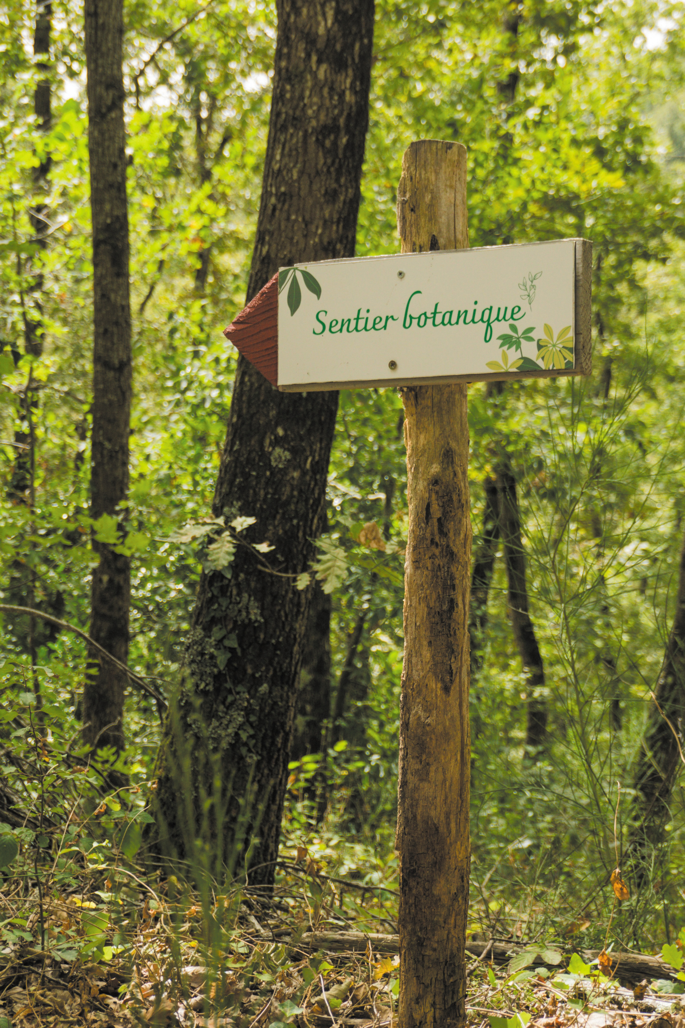 Sentier botanique de Mauressac