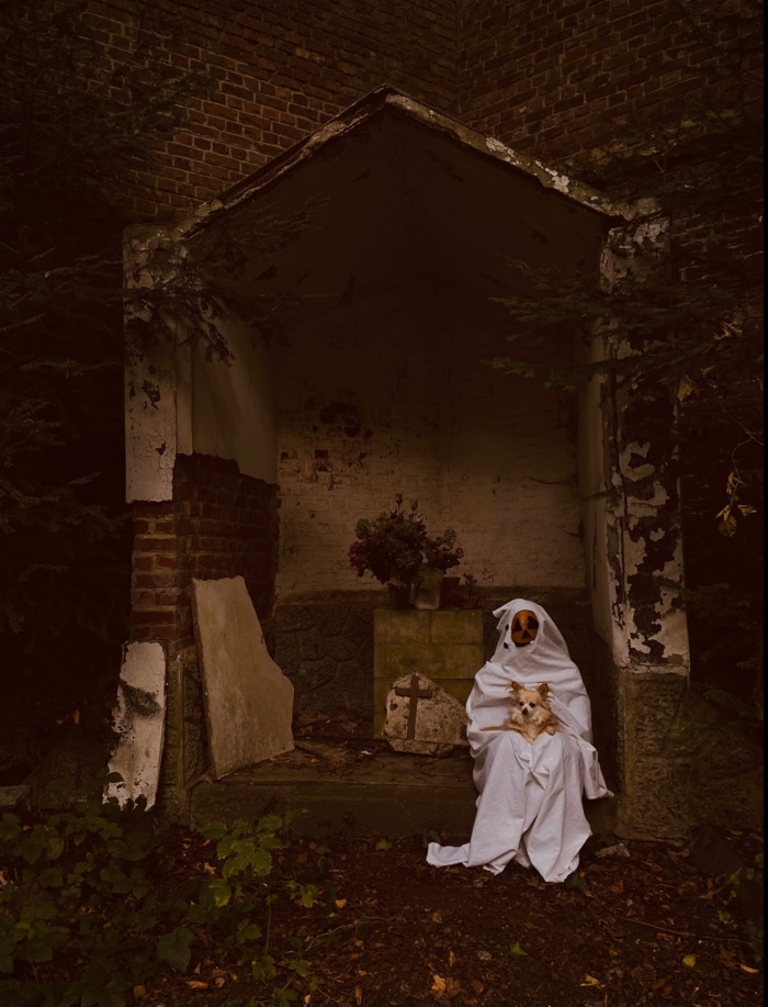 Shooting photo avec son chien pour fêter Halloween !