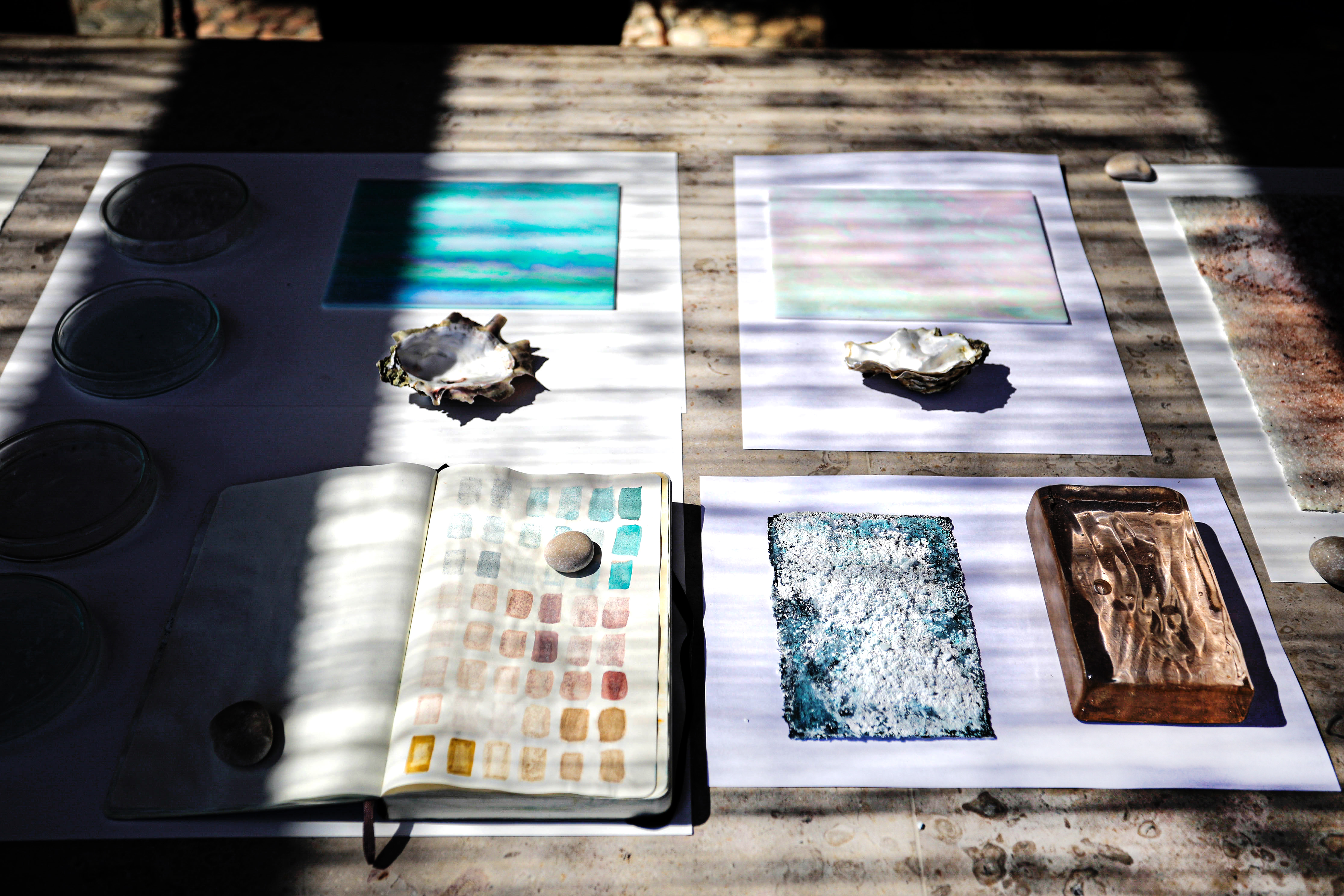 Expositions, rencontres et performances des artistes de Mondes Marins