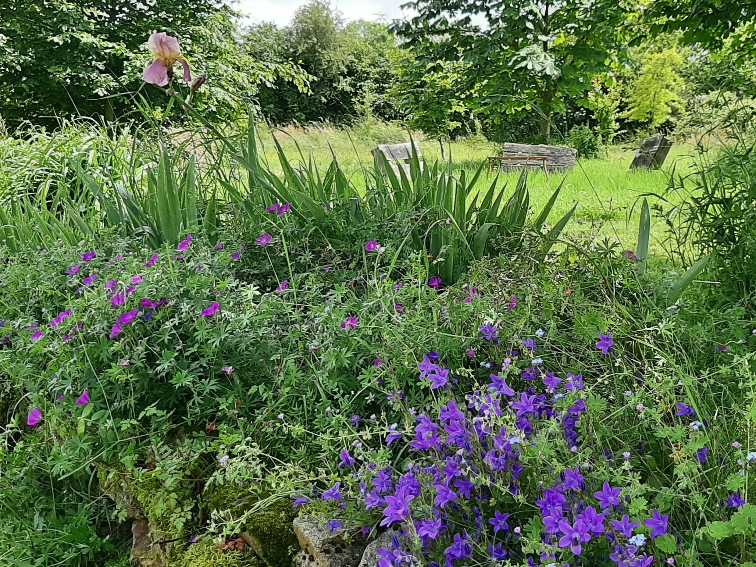 Visite du Jardin vivrier et paysager, plaisir des yeux et de la découverte de tableaux bucoliques et d'oeuvres d'art invitées