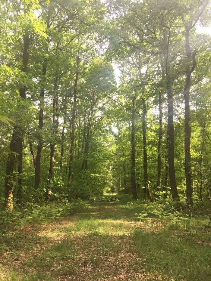 Conférence — Entreprises & Biodiversité : s'engager et agir