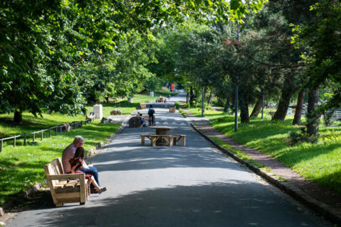 Parc des berges aux Bois-Blancs : donnez votre avis